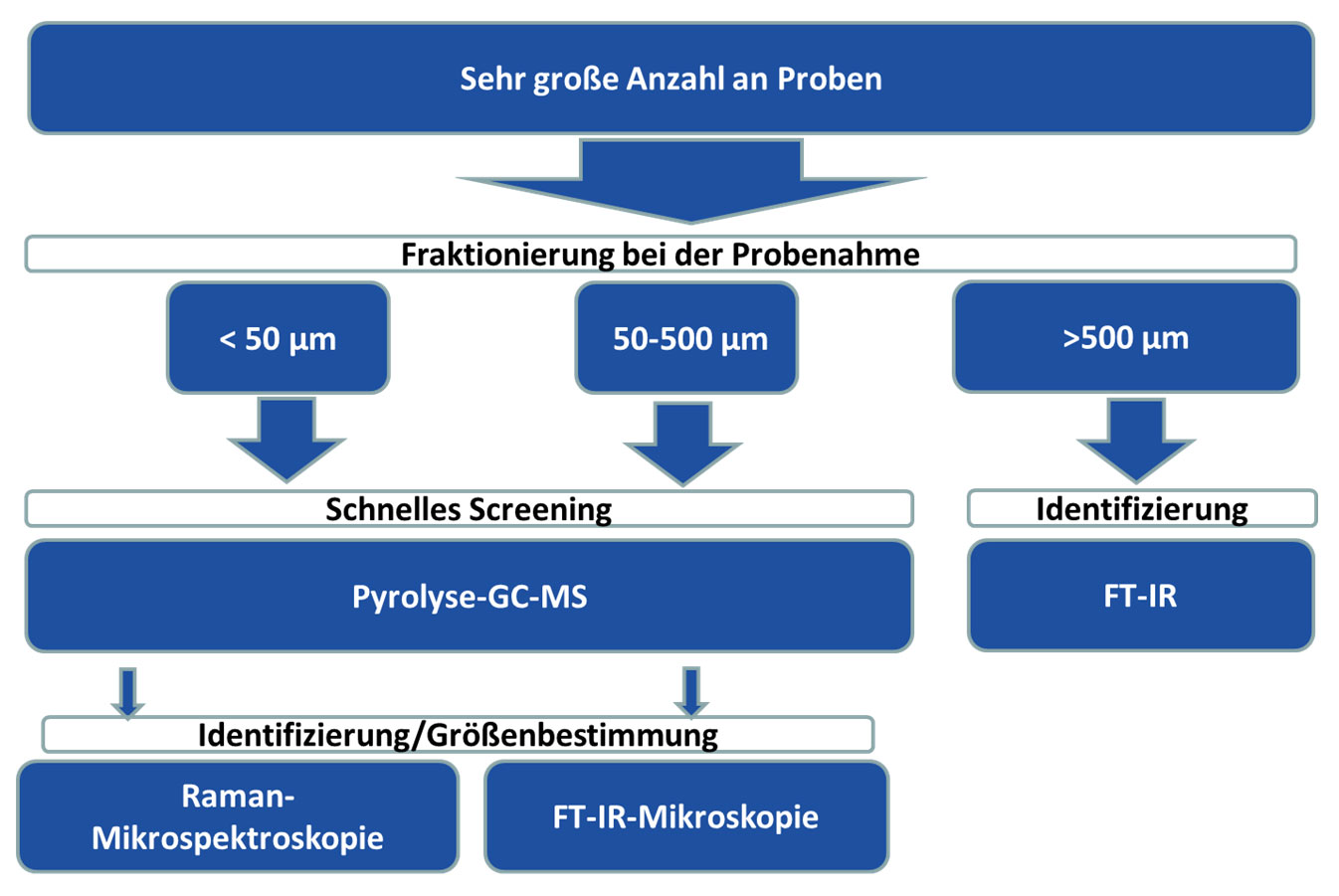 Schema zum AP Analytik.